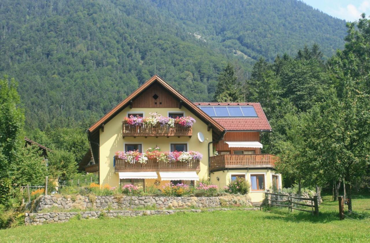 Haus Hepi B&B Obertraun Exterior foto